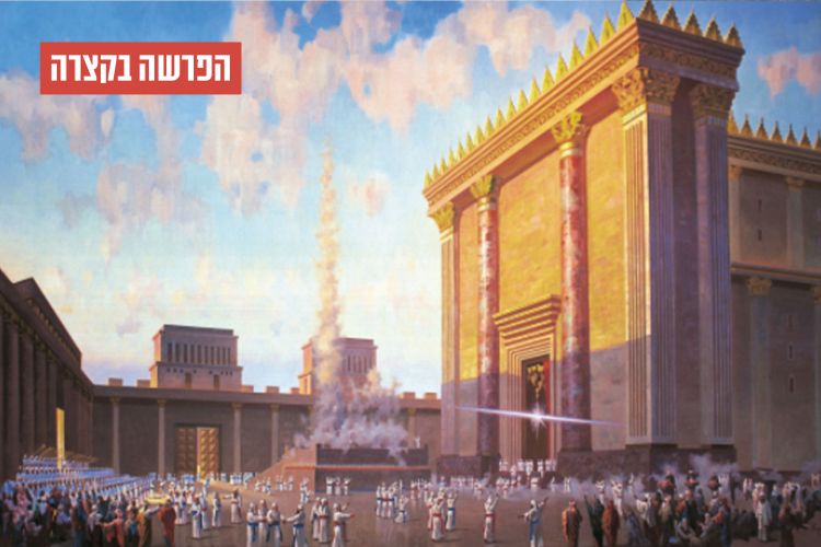 הפרשה בקצרה: תחילת עבודת הכהנים במשכן